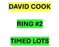 DAVID COOK RETIREMENT ONLINE TIMED FARM AUCTION (204-851-1122) RING 2 TIMED LOTS