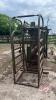 Powder River squeeze chute with palp cage - 6