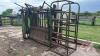 Powder River squeeze chute with palp cage - 8