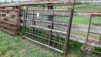 8ft gate with mesh panel