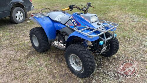 Polaris 300 2x4 Quad