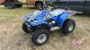 Polaris 300 2x4 Quad - 2