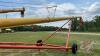 Westfield MK 130-71 PTO Swing Hopper Auger, s/n147823 - 8