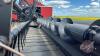 35ft CaseIH 2162 Flex Draper header, S/N YCZN17873 - 3