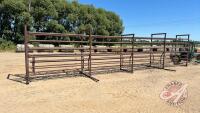 30ft Heavy Duty Cattle Alleyway, H113