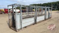 24ft DBL Wide Adjustable Livestock Working Alley, H145