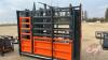 TMG-CSC10 Cattle Squeeze chute with scale & LED display - 3