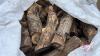 mini bulk bag of unsplit Maple firewood J45 - 4