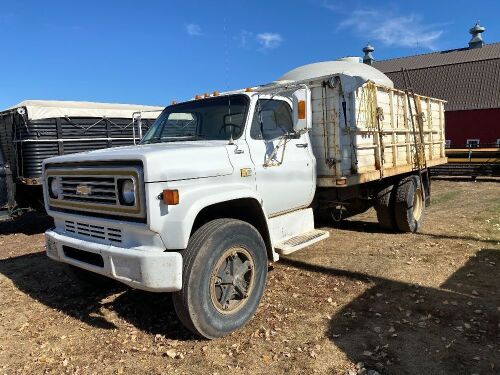 *1981 Chev 70 s/a grain truck, VIN# 1GBJ7D1BXBV123306, Owner: Gervin Stock Farms Seller: Fraser Auction___________ ***TOD, KEYS***