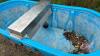 300-gal Behlen poly water trough A J34 - 2