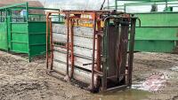 squeeze chute with headgate J104