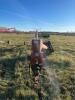 #4 buhler/FarmKing 1070 PTO swing hopper auger, SN-21503082 - 4