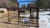 maternity pen w/ head gate - 4