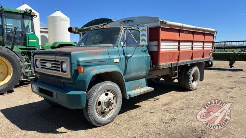 1980 Chev 60 s/a grain Truck 44,545 SHOWING VIN: C16DAAV118409, OWNER: SELLER: Kevin W Routledge, FRASER AUCTION______________
