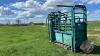 Morand Squeeze Chute with Headgate