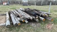 Various poles/posts upto 10’ length (35 pieces)