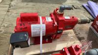 Red Lion shallow well pump, F61