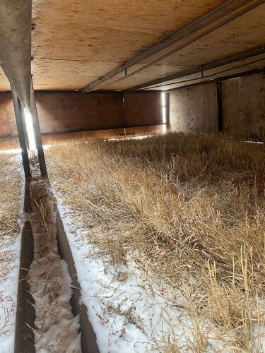 12x24 Calf Hut, drill stem w/ tin roof, wood sides