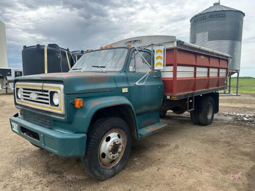 1980 Chev 60 s/a grain Truck 44,545 SHOWING VIN: C16DAAV118409, OWNER: SELLER: Kevin W Routledge, FRASER AUCTION______________