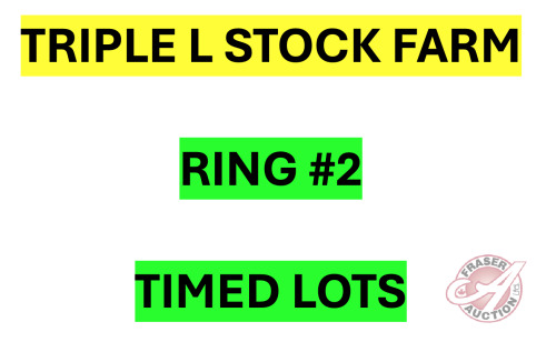 It's now time to go to RING #2 for all TRIPLE L STOCK FARM TIMED LOTS (Click on the big Fraser Auction Logo at top of page to be directed back to Homepage)