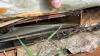 (2) 4 x 8 Sheets of 10 Gauge Flat Steel, (1) 4 x 8 Sheet Light Gauge Steel - 2