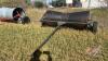 8’ Farm King metal swath roller - 2