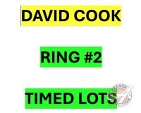 There are many more items to bid on in this sale. The remaining items will be sold by TIMED Online Selling. Please go to RING #2 for all DAVID COOK'S TIMED LOTS (Click on the big Fraser Auction Logo at top of page to be directed back to Homepage)