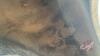Used Concept 23.1-30 tractor tire - 8