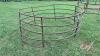 Low rnd bale ring for calves/sheep - 2