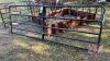 12&rsquo; HW gate - 2