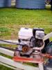 buhler/FarmKing 7x41 auger - 3