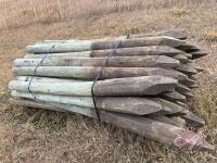 8' Fence Posts, K60