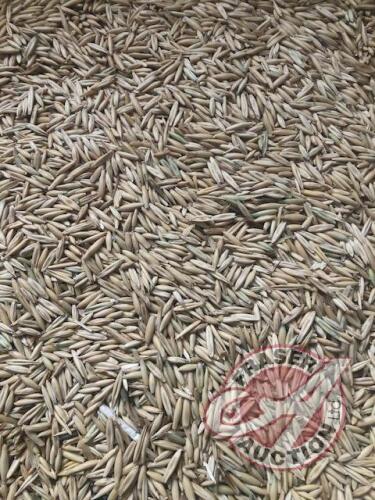 Approx 450 bus of Oat screenings (used as cattle feed). Seller CAN NOT load