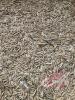 Approx 450 bus of Oat screenings (used as cattle feed). Seller CAN NOT load