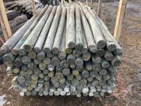 6' 3-4" Treated Fence Post (Used), K116