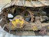 Cat D4 Crawler, K125 - 12