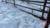 30&rsquo; 4 bar free standing feed panel - 2