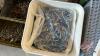Pallet w/ screws and nails, deck parts, (1500) 1.5&rdquo; blue metal screws - 6
