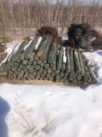 used 4"-5" x 6' fence post