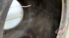 (2) Used Good Year 66x43.00-25NHS Ag tire (tread damage) - 4