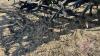 34&rsquo; CCIL 807 tillage, S/N 66016-90009 - 11