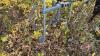 Elmer&rsquo;s 8 row 3 pt sprayer, S/N 981382 - 9