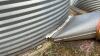 Approx 4000 bushel Westeel Rosco 18&rsquo; diameter flat bottom bin, Bin #6 - 3