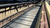 42&rsquo; Honeybee SP42D-26 draper header, S/N 420600806 - 20
