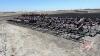 45&rsquo; Wil-Rich field cultivator - 5