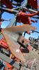 42&rsquo; Flexi-Coil 800 tillage, S/N M046742 - 10