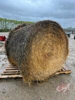 1st cut alfalfa hay bale, Approx 1250-1300 lbs, F130
