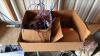 DR wheeled string trimmer, F182 **Spare head +battery charger - Shed** - 7