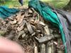 Firewood pile, oak + ash
