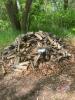 Firewood pile, oak + ash